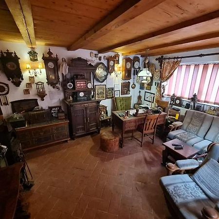 Pensiunea Otilia Сігішоара Екстер'єр фото