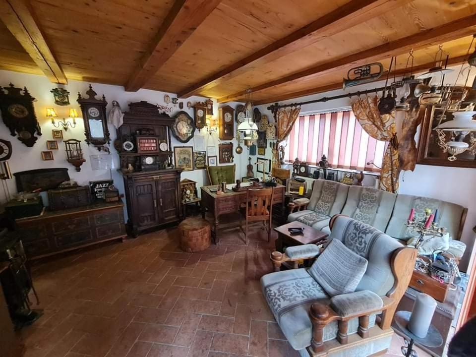 Pensiunea Otilia Сігішоара Номер фото